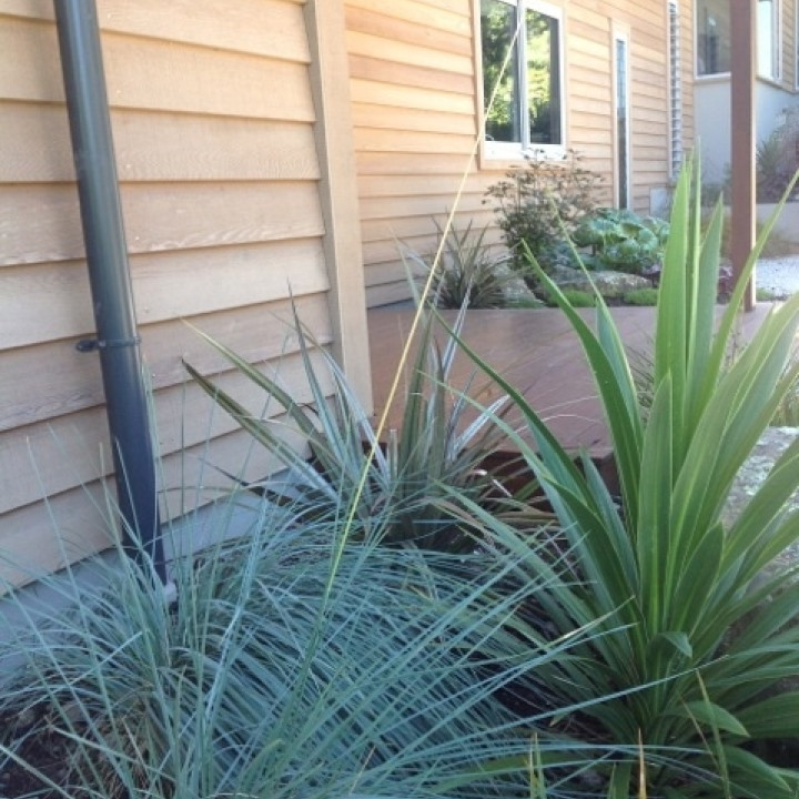 Design & Garden Landscapes Ltd