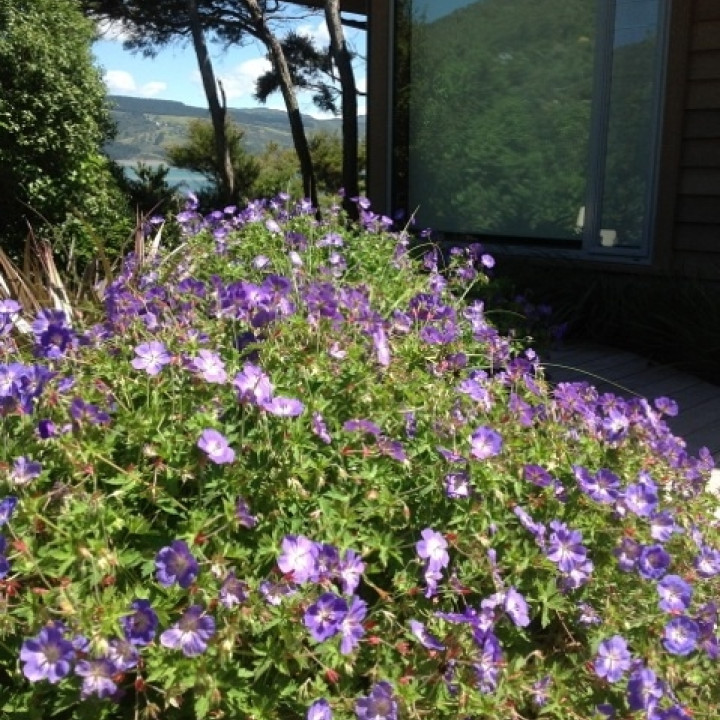 Design & Garden Landscapes Ltd