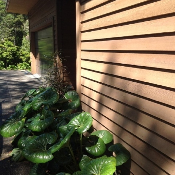 Design & Garden Landscapes Ltd
