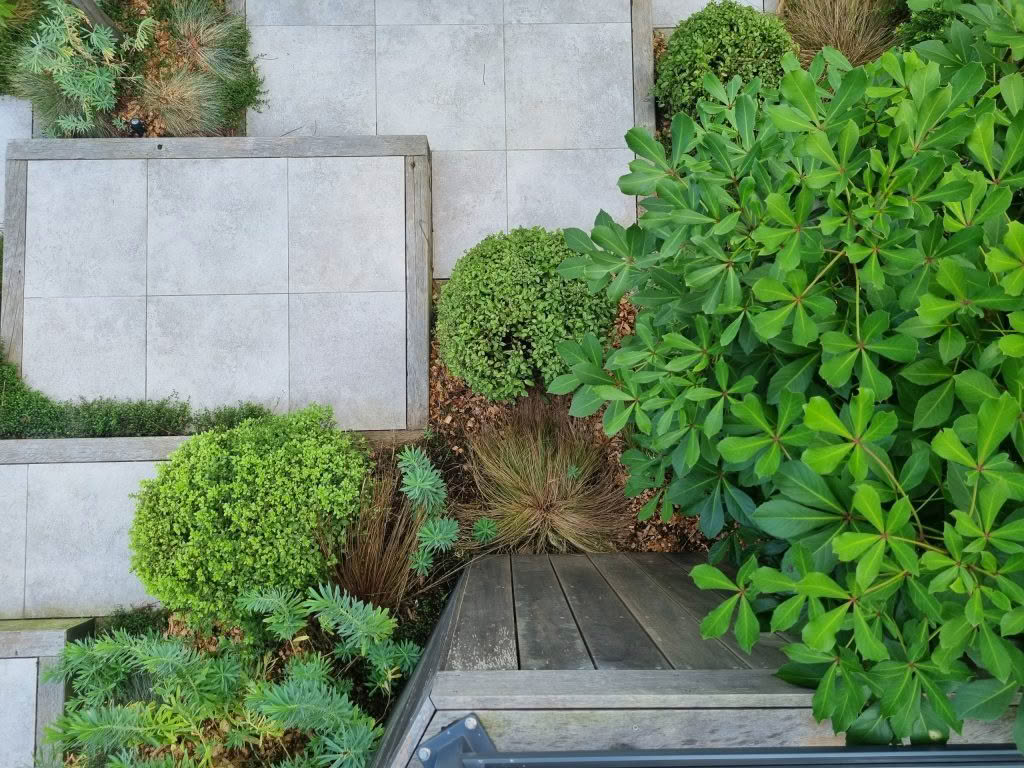 Winfield Landscapes