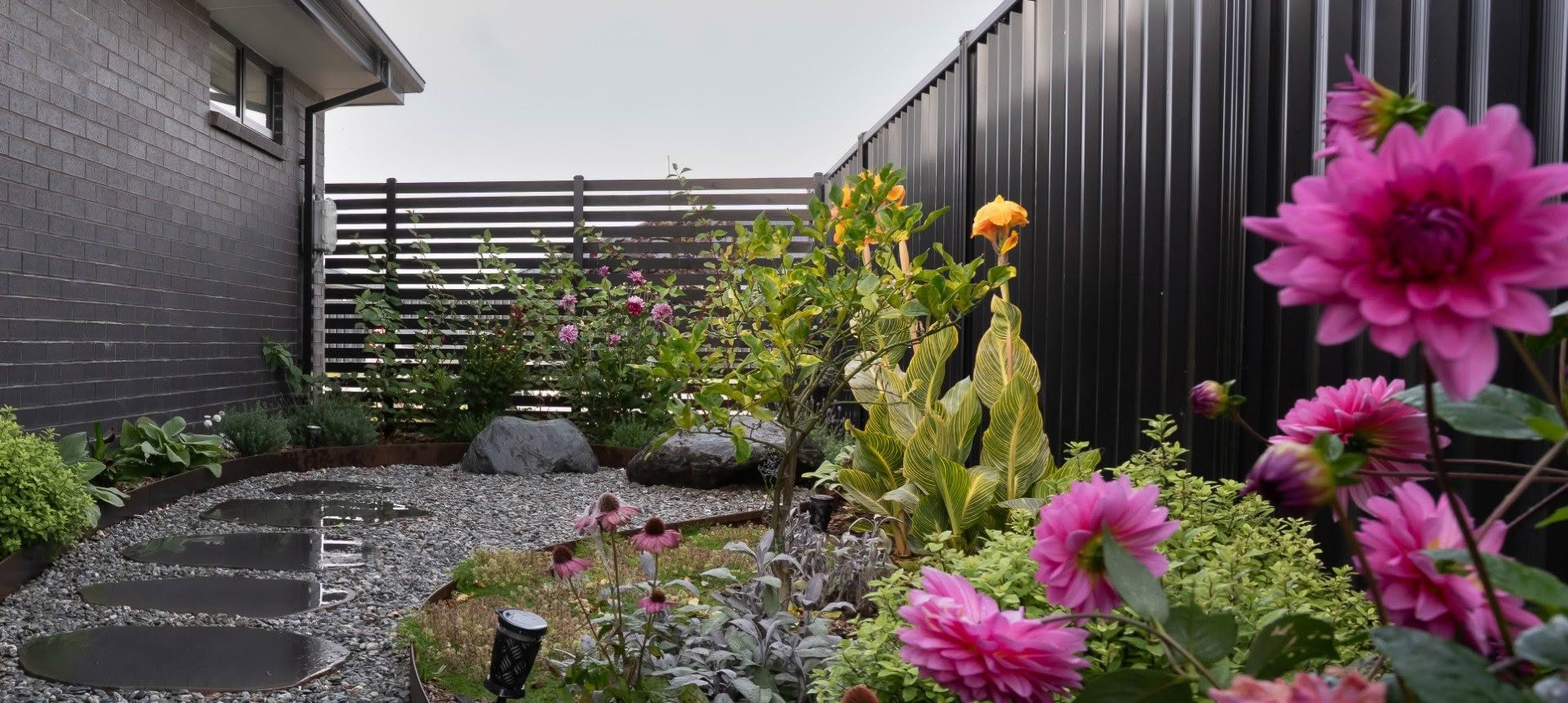 Donna's Garden Sanctuary